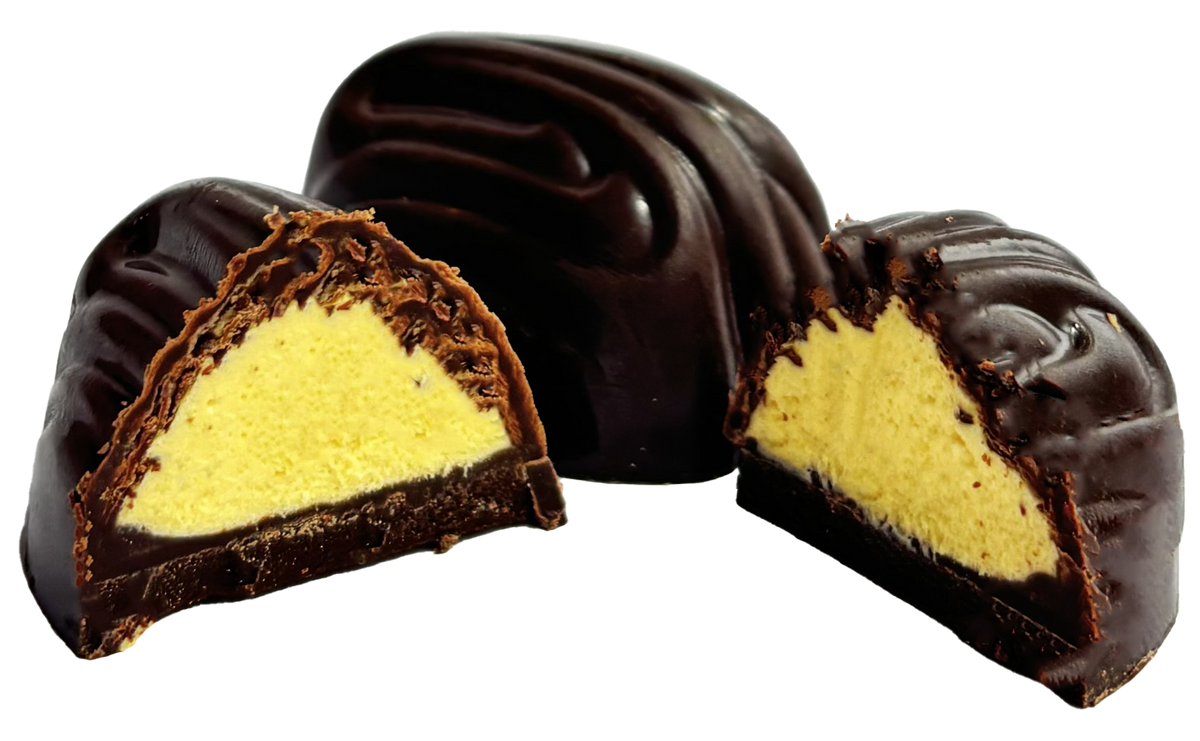 MANGO DARK CHOCOLATE 10G
