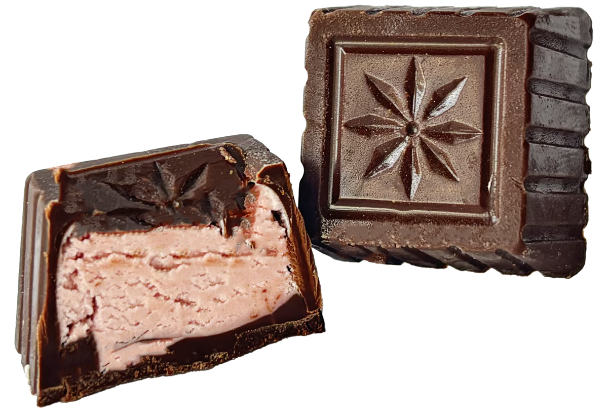 GRAPEFRUIT DARK CHOCOLATE 10G